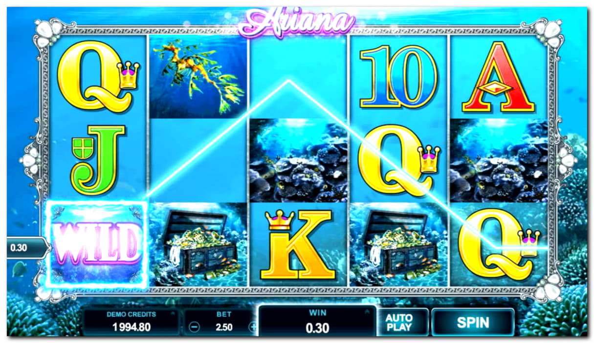 370% Best Signup Bonus Casino at Casino Dingo